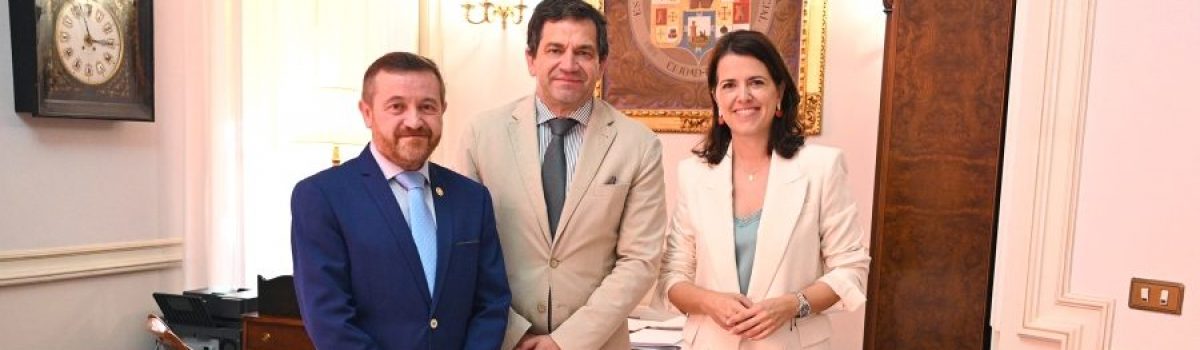 MIGUEL ÁNGEL VALVERDE, PRESIDENTE DE LA DIPUTACIÓN DE CIUDAD REAL Y MARÍA JESÚS PELAYO, PESIDENTA DEL CONSORCIO DE LA UNED PROVINCIAL, HAN MANTENIDO UNA REUNIÓN CON EL DIRECTOR DE LA UNED DOMINGO FERNÁNDEZ