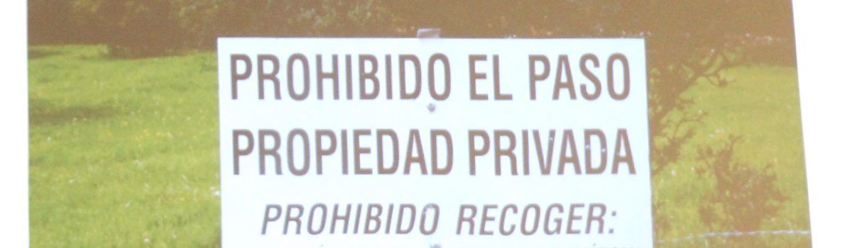 LA UNED ACOGIÓ UNA CONFERENCIA ORGANIZADA POR ORISOS DONDE SE HABLÓ DEL VALLE DE ALCUDIA, UN PATRIMONIO HISTÓRICO Y NATURAL DESCONOCIDO