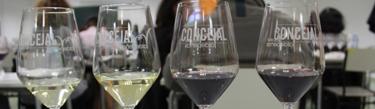 LA UNED  DE VALDEPEÑAS HA ACOGIDO LAS JORNADAS “LOS PAISAJES DEL VINO: DEL MUNDO CLÁSICO AL VIÑEDO ACTUAL”