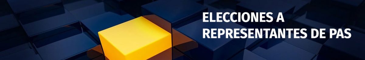 ELECCIONES A REPRESENTANTES DE PAS